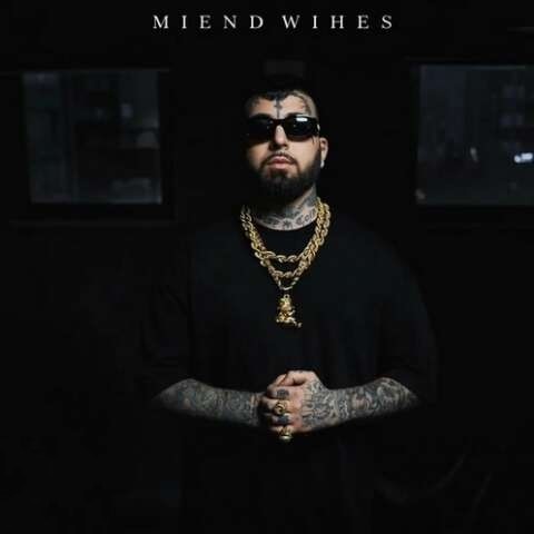 ویناک کم نمیاد