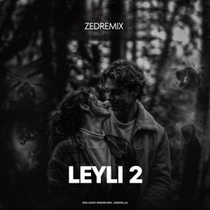 ریمیکس دپ لیلی 2