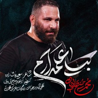 مداحی محمد حسین حدادیان بیا علمدارم