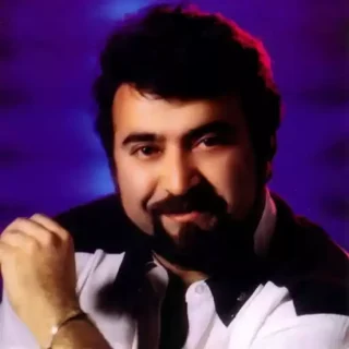 فرزین هوای یار