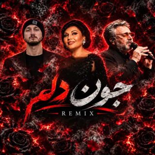 ریمیکس جون دلم