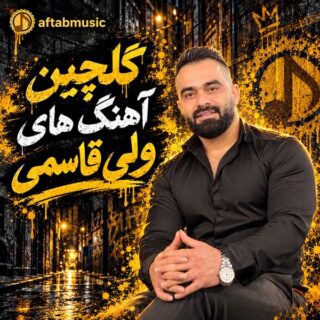 دانلود گلچین آهنگ های ولی قاسمی گلچین آهنگ های ولی قاسمی
